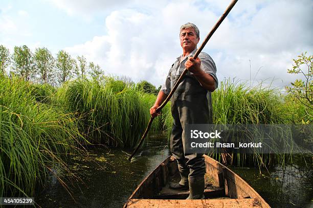 Boatman - Fotografias de stock e mais imagens de Adulto - Adulto, Ao Ar Livre, Barco de Papel