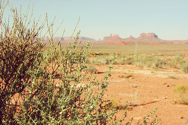 Monument Valley Navajo National Park, Utah, USA.