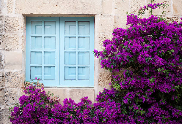 Traditional greek house with colorful blue door and pink walls at Asos village. Assos peninsula famous and extremely popular travel destination in Cephalonia, Greece, Europe