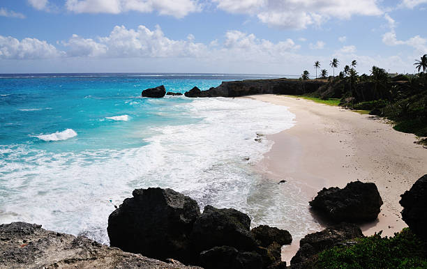istock Volcanic Rocks pn Barbados Beach 454122175