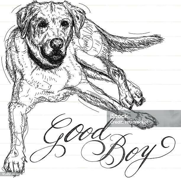 犬のスケッチ - ラブラドールレトリバーのベクターアート素材や画像を多数ご用意 - ラブラドールレトリバー, 図画, スケッチ