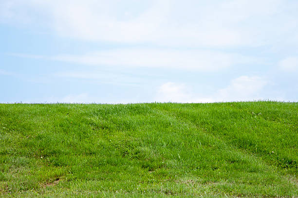 istock The Grassy Knoll 454125147
