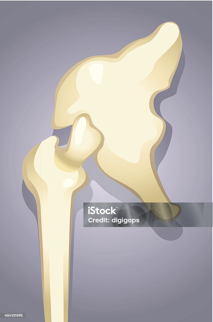 Bones Illustration of human shoulder joint  bone Biology stock vector
