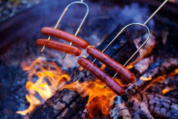 Four hot dogs on metal fork skewers roasting, grilling and cooking over a red hot campfire flame of burning wood log fire pit coals. Smoked, home cooked bratwurst sausage food is an outdoor summer camp barbeque grill treat. A convenient, processed ground meat meal in horizontal format with no people.