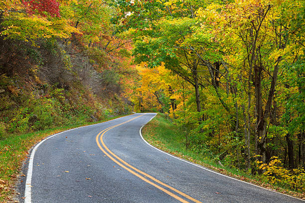 Winding Road in the Fall stock photo
