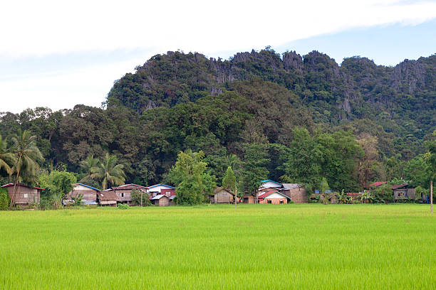 istock Village in Laos 454132729