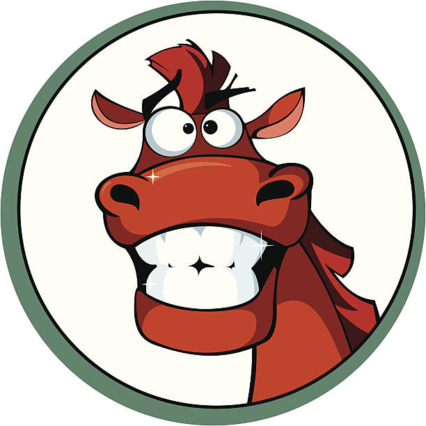 Cartoon horse with a brilliant smile Emblem  with a head of funny horse with a brilliant smile horse color stock illustrations