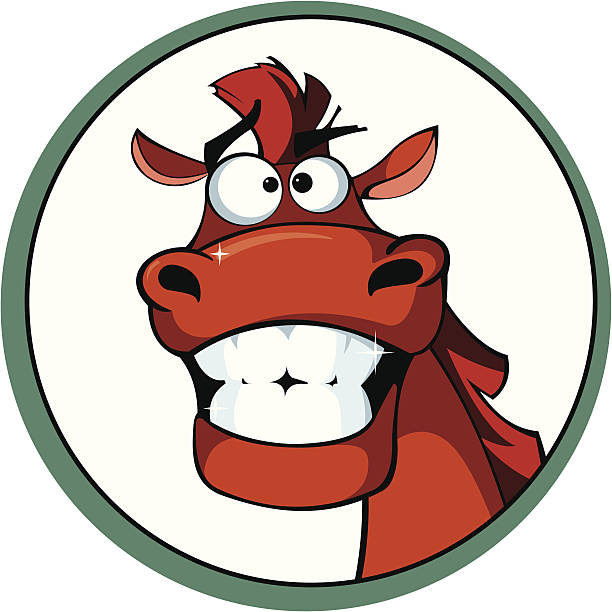 Cartoon horse with a brilliant smile Emblem with a head of funny horse with a brilliant smile bay cartoon stock illustrations