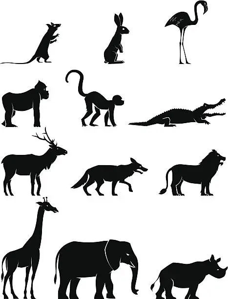 Vector illustration of Black silhouettes of animals on white background