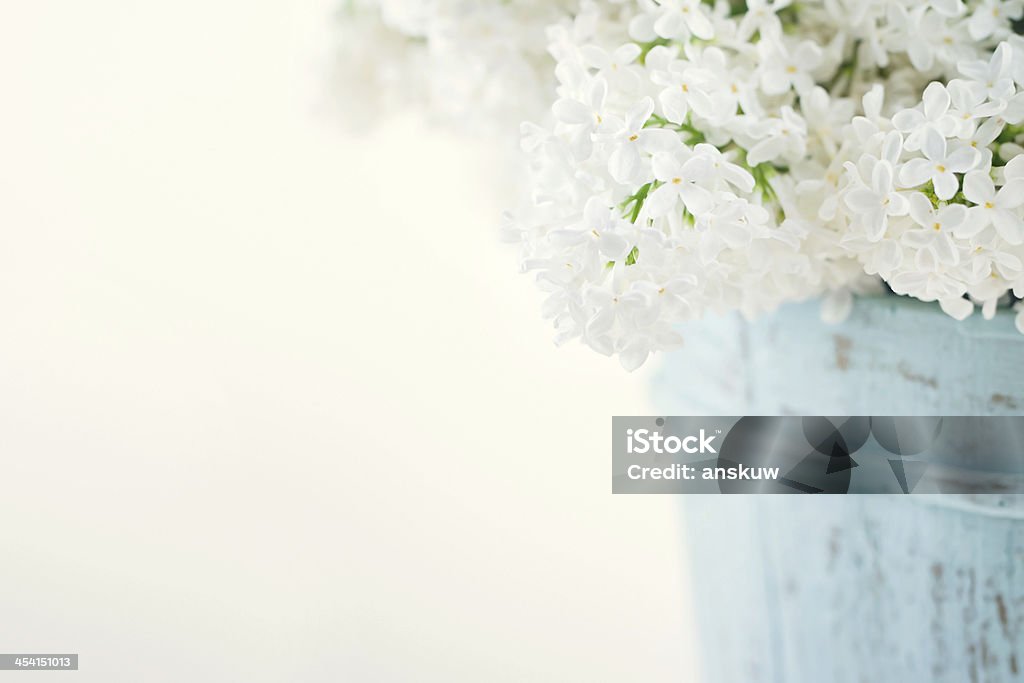 Bouquet of white lilac spring flowers Bouquet of white lilac spring flowers in a wooden blue vase on light shabby chic background Arrangement Stock Photo