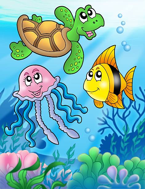 istock Various sea fishes and animals 454155305