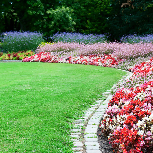 istock flower bed and green grass in the summer park 454155831