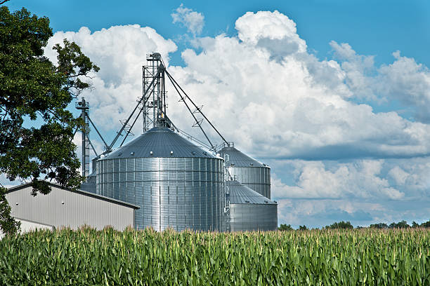 istock Farm grain bins / silos with cornfield and sky 454157441