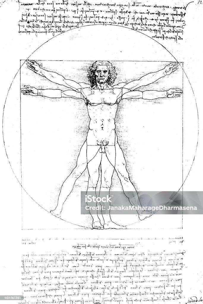 A famous artistic picture symbolic of human anatomy  Anatomy art by Leonardo Da Vinci from 1492 Leonardo Da Vinci stock illustration
