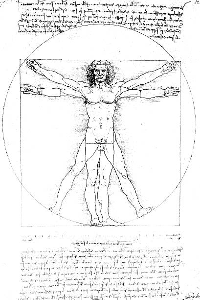 A famous artistic picture symbolic of human anatomy  Anatomy art by Leonardo Da Vinci from 1492 leonardo da vinci stock illustrations
