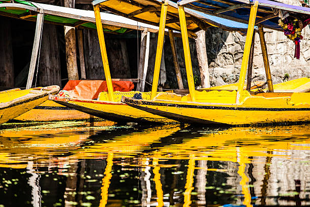 istock Shikara boat in Dal lake , Kashmir India 454162585