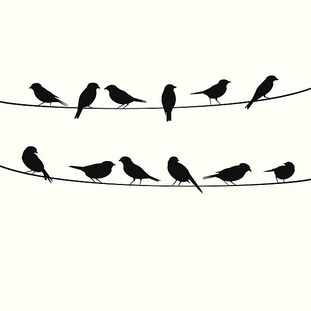 birds resting on wire birds resting on wire telephone line illustrations stock illustrations