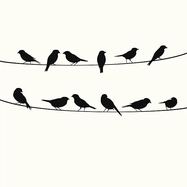 Vector illustration of birds resting on wire