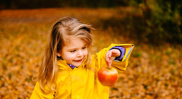 little girl holding red apple en otoño - macintosh apples fotos fotografías e imágenes de stock