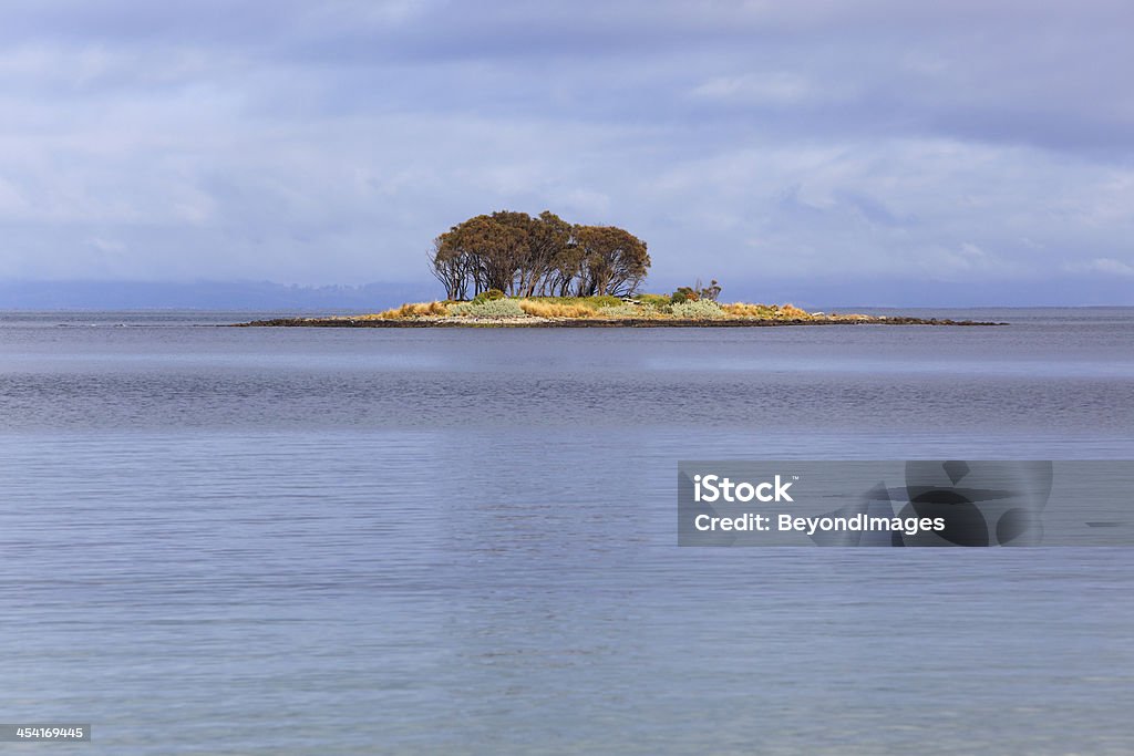 Petite île lointaine avec des arbres et des herbes - Photo de Australie libre de droits