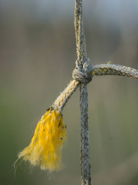 broken net - rope frayed breaking tied knot photos et images de collection