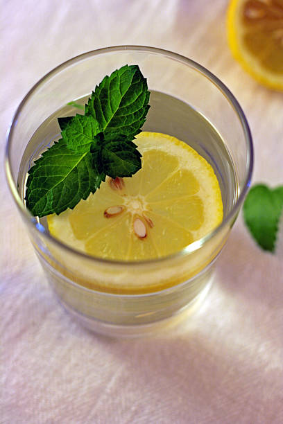Glass of water with lemon and mint stock photo