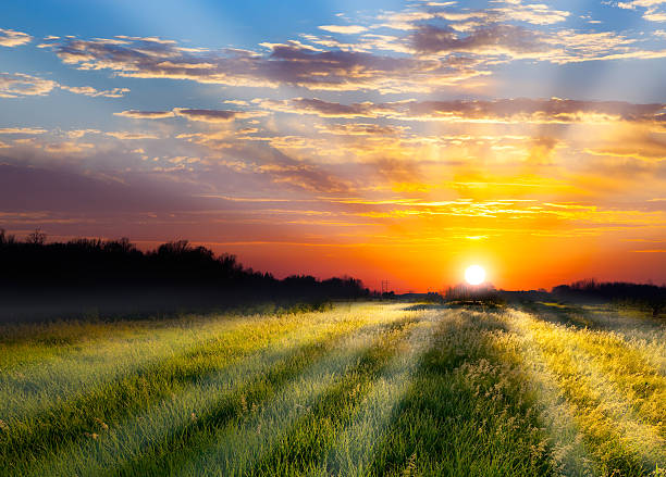 istock Fiery Orange Sunrise Over Grassland With Morning Dew 454177177