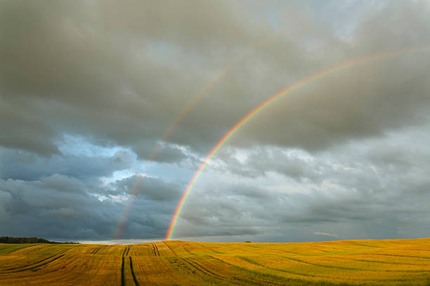 arcobaleno doppio nel nord polands campi - meteorology rain fog forest foto e immagini stock