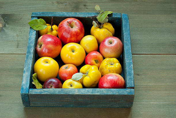 mele, quinces - spartan apple foto e immagini stock
