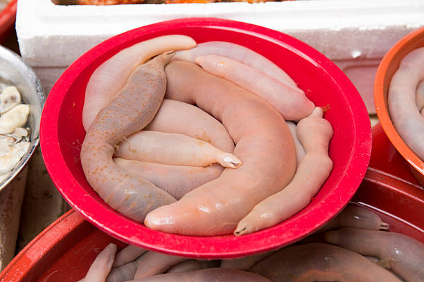 istock KaeBul  (Cock of the sea) for sale at fish maket 454188991