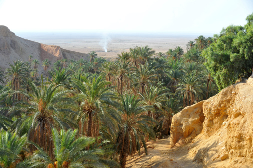 view of mountain oasis Chebika, Sahara desert, Tunisia, Africa