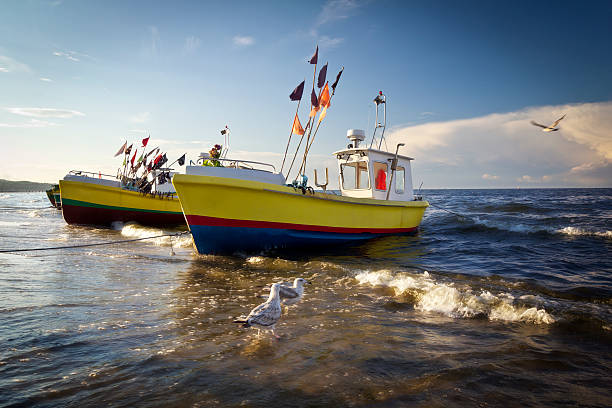 Fisherman boats on the beach in sunset Seagulls and Fisherman boats on the beach in sunset, Sopot, Poland skipjack stock pictures, royalty-free photos & images