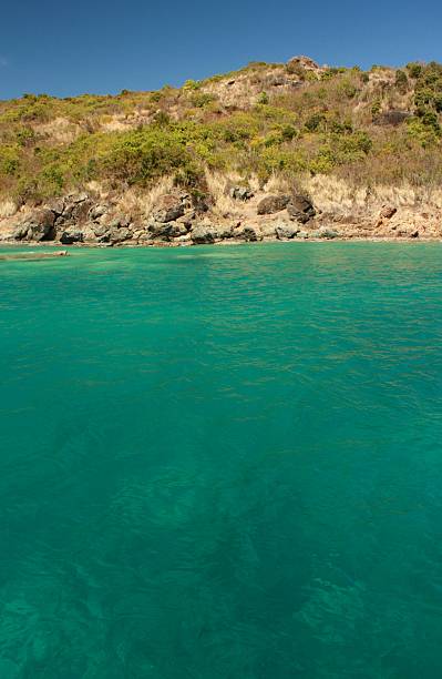 istock Near the Caribbean Island 454192229