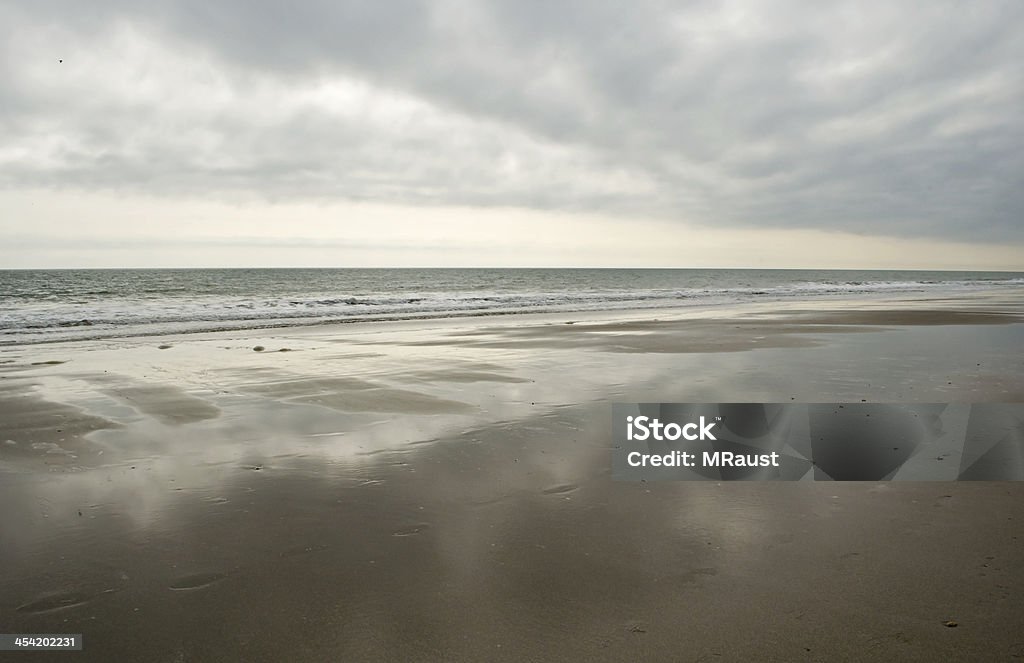 Silver Beach of South Carolina A cloudy sky reflects in the calm silver waters of Huntington Island State Park, South Carolina. Beach Stock Photo