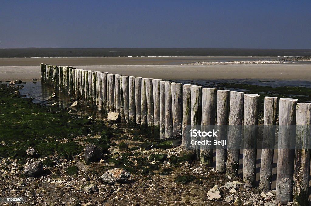 old coastal breakers in ameland Niederlande - Lizenzfrei Ameland Stock-Foto