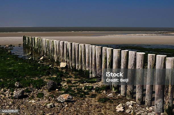 Vecchio Coastal Breakers In Ameland Paesi Bassi - Fotografie stock e altre immagini di Ameland - Ameland, Asta - Oggetto creato dall'uomo, Palo di legno
