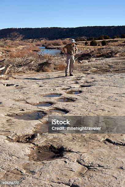 Photo libre de droit de Randonnée Et De Dinosaur Tracksite Colorado Espace De Copie banque d'images et plus d'images libres de droit de Dinosaure