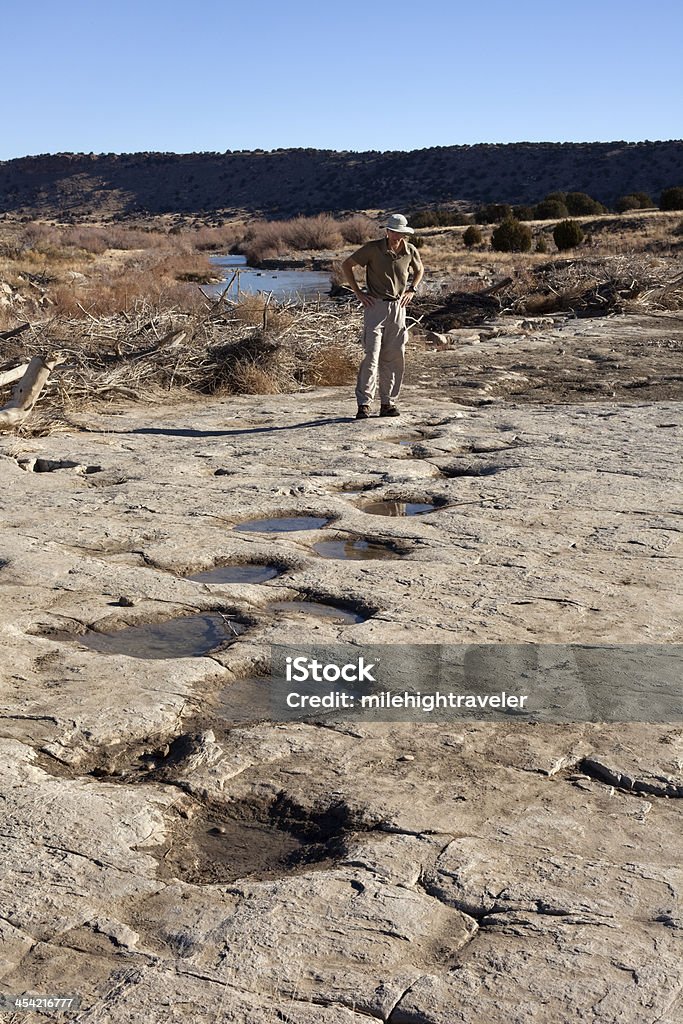 Sapatos de caminhada e dinossauro tracksite Colorado espaço para texto - Royalty-free Dinossauro Foto de stock