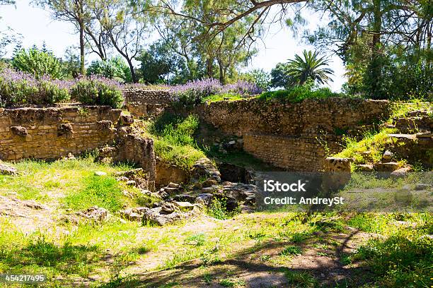 Ruínas De Carthage - Fotografias de stock e mais imagens de Antiguidades - Antiguidades, Arqueologia, Arquitetura