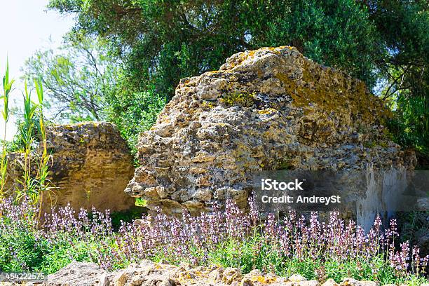 Alte Karthagische Ruinen Stockfoto und mehr Bilder von Afrika - Afrika, Antiker Gegenstand, Architektonische Säule