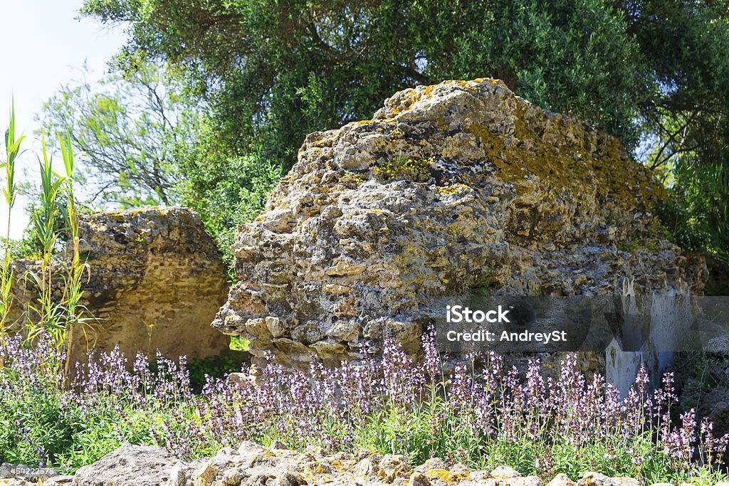 Ruínas de Carthage - Royalty-free Antiguidades Foto de stock