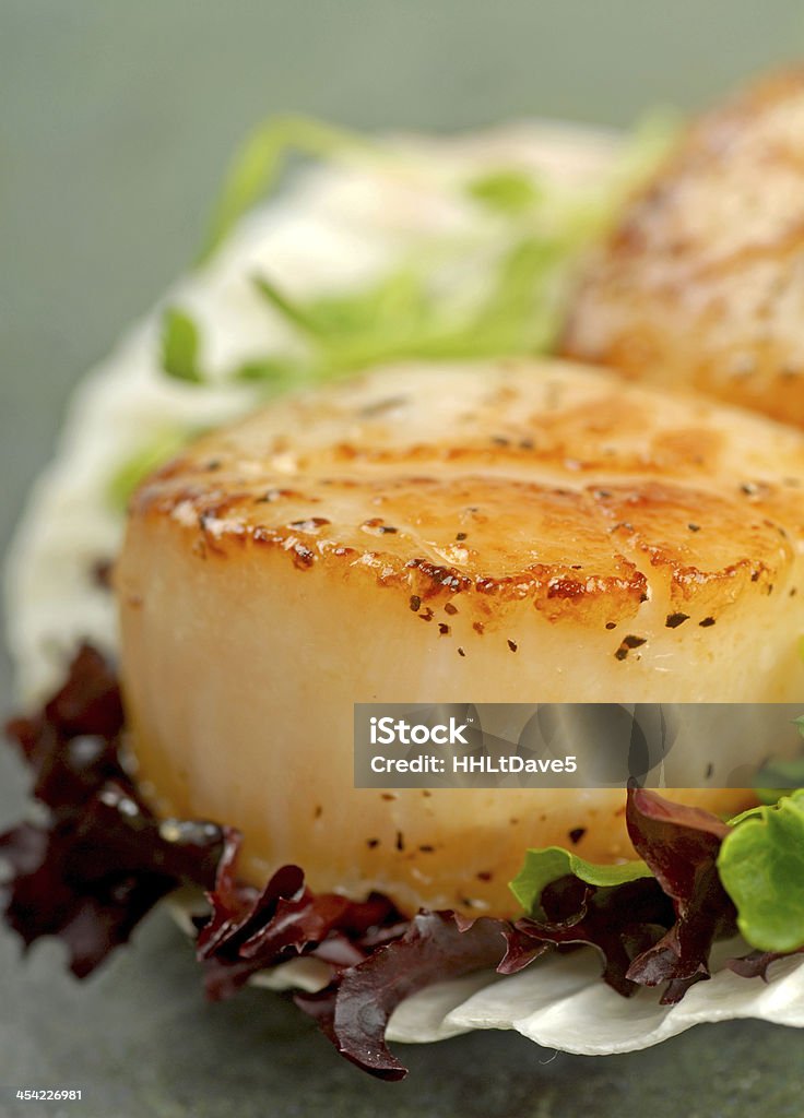 Sea Scallop with greens in its shell Delicious pan seared sea scallop with lettuce and pea shoots served on a scallop shell Appetizer Stock Photo