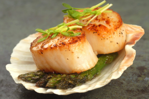 Delicious pan seared sea scallop with asparagus and pea shoots served on a scallop shell