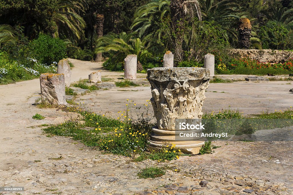 Stare Ruiny Carthage - Zbiór zdjęć royalty-free (Afryka)