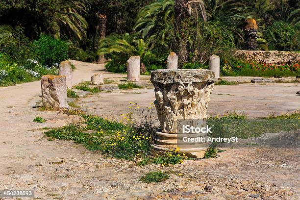 Stare Ruiny Carthage - zdjęcia stockowe i więcej obrazów Afryka - Afryka, Antyki, Archeologia