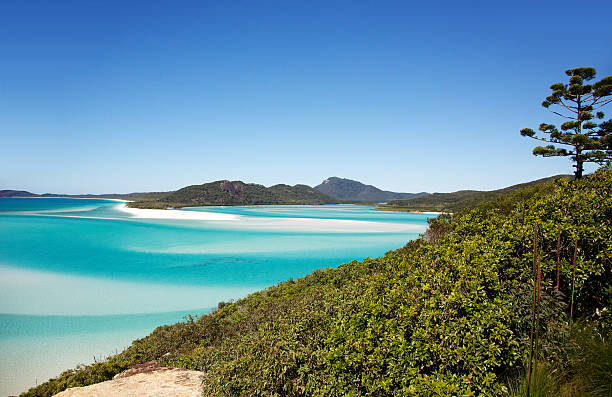 Whitehaven Beach Hill Inlet Lookout stock photo