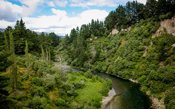 istock New Zealand River 454258027