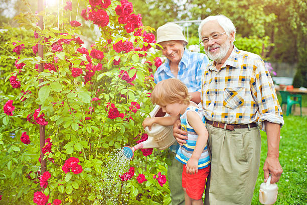 avós e o neto no jardim - senior women rose women flower bed imagens e fotografias de stock