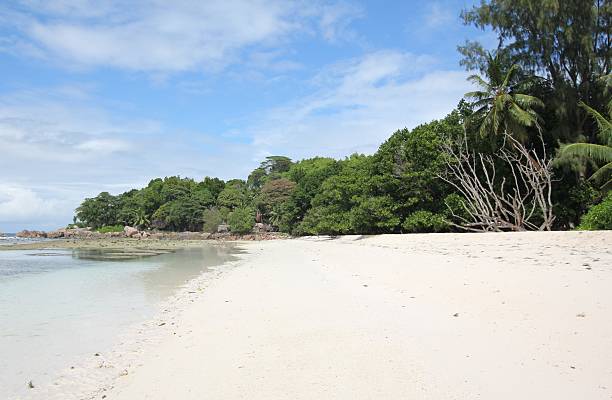 istock Anse Severe Beach during Low Tide, La Digue Island, Seychelles 454260211