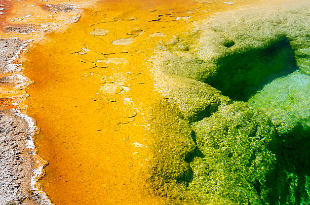 istock Geyser in Yellowstone 454264309